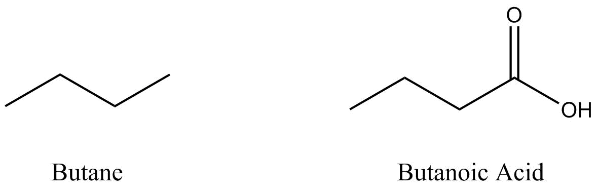 Two bond-line structures are shown: the strucutre on te left is butane and the structure on the right is butanoic acid. Carbon atoms are assumed at the end of each bond lineor the vertice between two bond lines. Hydrogen atoms bonded to carbons are NOT shown. Atoms other than carbon and hydrogens bonded to carbons are written into the sturctures.