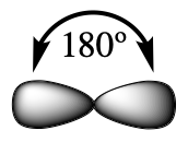 Two s p orbitals are shown, which looks like a peanut shaped structure. There is an arrow portraying an angle of 180 degrees between the sp orbitals.