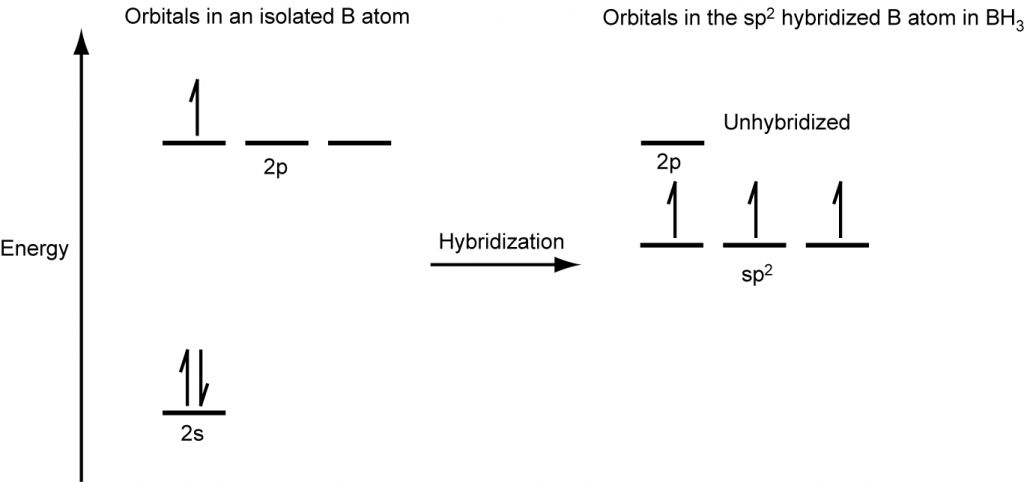 A diagram is shown in two parts, connected by a right facing arrow labeled, “Hybridization.” The left diagram shows an up-facing arrow labeled “E.” To the lower right of the arrow is a short, horizontal line labeled, “2 s,” that has two vertical half-arrows facing up and down on it. To the upper right of the arrow are a series of three short, horizontal lines labeled, “2 p.” Above both sets of these lines is the phrase, “Orbitals in an isolated B atom.” One of the lines has a vertical, up-facing arrow drawn on it. The right side of the diagram shows three short, horizontal lines placed halfway up the space and each labeled, “s p superscript 2.” An upward-facing half arrow is drawn vertically on each line. Above these lines is one other short, horizontal line, labeled, “2 p.” Above both sets of lines is the phrase, “Orbitals in the s p superscript 2 hybridized B atom in B H subscript 3.”