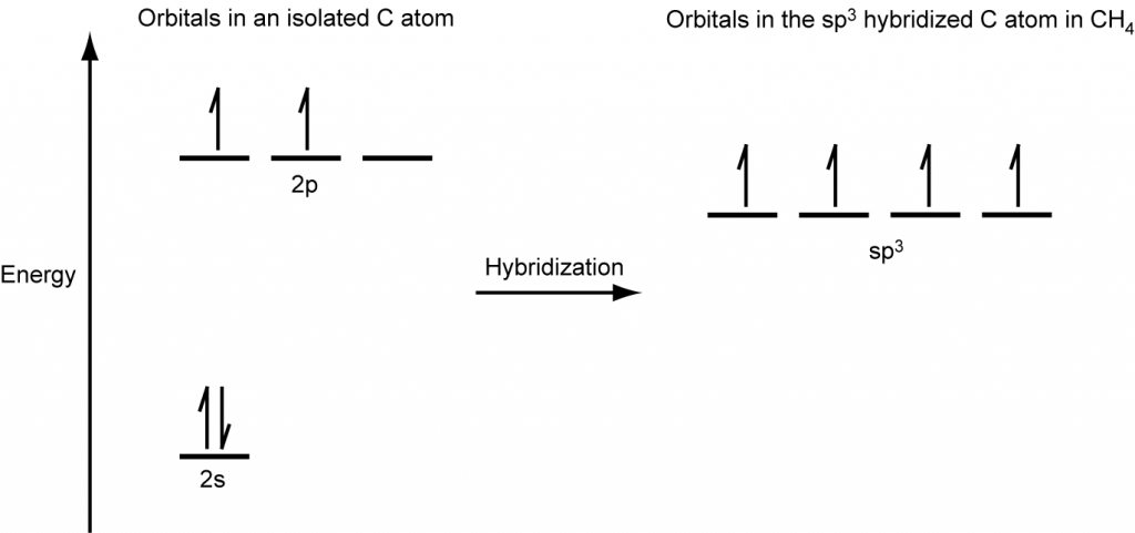 A diagram is shown in two parts, connected by a right facing arrow labeled, “Hybridization.” The left diagram shows an up-facing arrow labeled “E.” To the lower right of the arrow is a short, horizontal line labeled, “2 s,” that has two vertical half-arrows facing up and down on it. To the upper right of the arrow are a series of three short, horizontal lines labeled, “2 p.” Two of the lines have a vertical, up-facing arrow drawn on them. Above both sets of lines is the phrase, “Orbitals in an isolated C atom.” The right side of the diagram shows four short, horizontal lines placed halfway up the space and each labeled, “s p superscript 3.” An upward-facing half arrow is drawn vertically on each line. Above these lines is the phrase, “Orbitals in the s p superscript 3 hybridized C atom in C H subscript 4.”