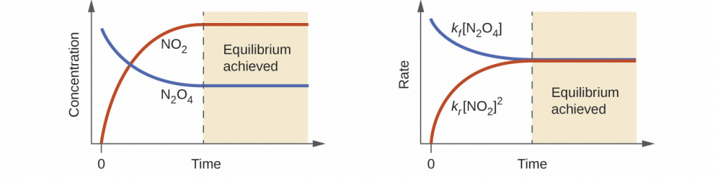 There are two graphs. The left graph has a y-axis labeled, “Concentration,” and an x-axis labeled, “Time.” A red line labeled, “N O subscript 2,” begins in the bottom left corner of the graph at a point labeled, “0,” and rises near the highest point on the y-axis before it levels off and becomes horizontal. A blue line labeled, “N subscript 2 O subscript 4,” begins near the highest point on the y-axis and drops below the midpoint of the y-axis before leveling off. The right graph has a y-axis labeled, “Rate,” and an x-axis labeled, “Time.” A red line labeled, “k subscript f, [ N subscript 2 O subscript 4 ],” begins in the bottom left corner of the graph at a point labeled, “0,” and rises near the middle of the y-axis before it levels off and becomes horizontal. A blue line labeled, “k subscript f, [ N O subscript 2 ] superscript 2,” begins near the highest point on the y-axis and drops to the same point on the y-axis as the red line before leveling off. The point where both lines become horizontal is labeled, “Equilibrium achieved.”