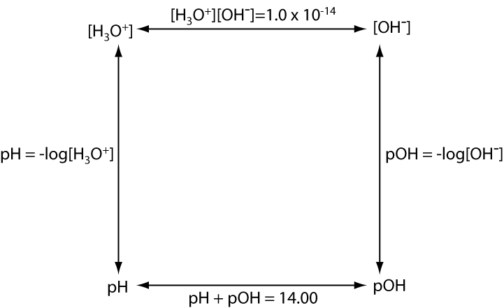 This figure is a square with four double-headed arrows pointing between the four corners along the edges. The top left corner is labeled [H 3 O +]. The arrow moving left is labeled "[H 3 O +] [O H -] = 1.0 times 10 ^ -14". The top right corner is labeled [O H -]. The arrow pointing down is labeled "p O H = - log [O H -]." The bottom right corner is labeled p O H. The arrow pointing left is labeled "p H + p O H = 14.00". The bottom left corner is labeled p H. The arrow pointing up is labeled "p H = - log [ H 3 O +]".