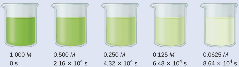 A diagram of 5 beakers is shown, each approximately half-filled with colored substances. Beneath each beaker are three rows of text. The first beaker contains a bright green substance and is labeled below as, “1.000 M, 0 s.” The second beaker contains a slightly lighter green substance and is labeled below as, “0.500 M, 2.16 times 10 superscript 4 s.” The third beaker contains an even lighter green substance and is labeled below as, “0.250 M, 4.32 times 10 superscript 4 s.” The fourth beaker contains a green tinted substance and is labeled below as, “0.125 M, 6.48 times 10 superscript 4 s.” The fifth beaker contains a colorless substance and is labeled below as, “0.0625 M, 8.64 times 10 superscript 4 s.”