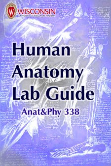 Human Anatomy Lab Manual book cover