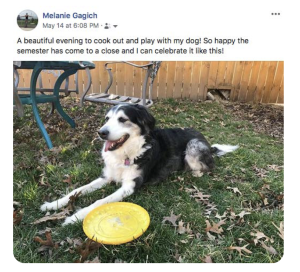 Facebook post from Melanie Gagich on May 14 at 6:08 pm. Text reads, "A beautiful evening to cook out and play with my dog! So happy the semester has come to a close and I can celebrate it like this!" The image is of a black and white dog laying back on its haunches in grass with lawn furniture to its right and a yellow frisbee to its left.