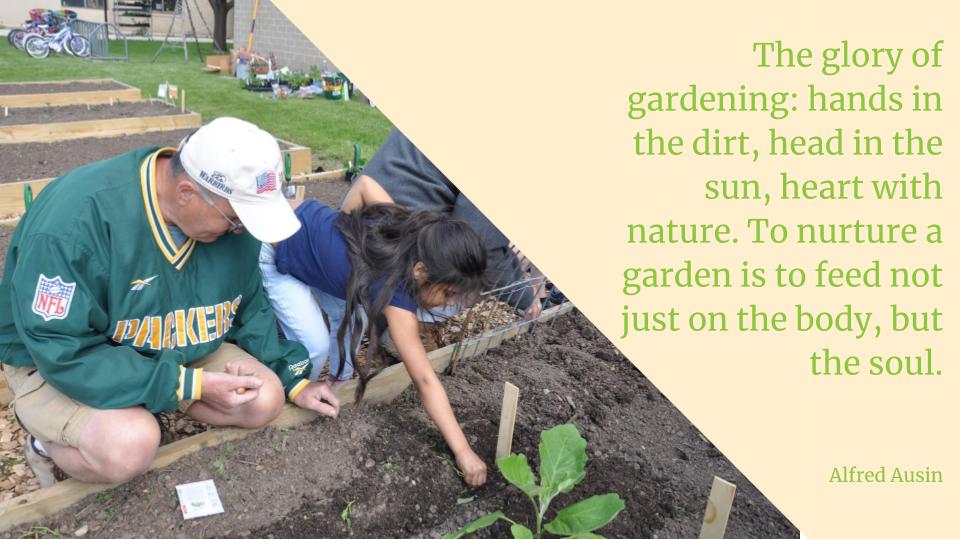 Quote: The glory of gardening: hands in the dirt, head in the sun, heart with nature. To nurture a garden is to feed not just on the body, but the soul. Alfred Ausin
