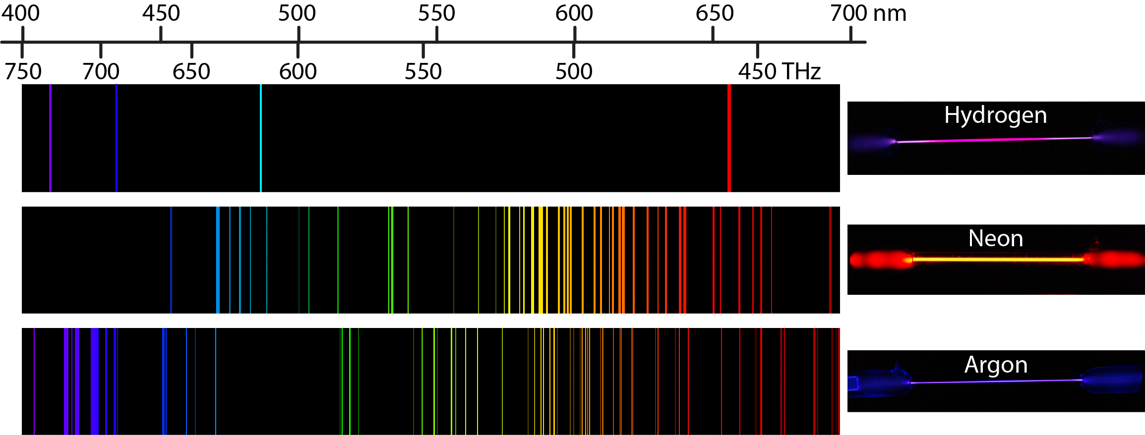An image is shown with 3 rows. Across the top is a scale that begins at 400nm at the left and extends to 700nm to the right. The top row shows the emission spectrum for hydrogen. This spectrum shows single bands in the violet, indigo, blue, and orange regions. There is a hydrogen discharge lamp on the right showing the overall purple color. The second row shows the emission spectrum for neon. This spectrum shows many band in the visible spectrum, from blue to red, with a greater concentration of bands in the red and orange region. There is a neon discharge lamp on the right showing the overall orange color. The third row shows the emission spectrum for argon. This spectrum shows many bands in the visible spectrum, from indigo to red, with a greater concentration of bands in the blue and indigo region. There is an argon discharge lamp on the right showing the overall violet color. It is important to note that each of the color bands for the emission spectra of the elements matches to a specific wavelength of light. Extending a vertical line from the bands to the scale above or below the diagram will match the band to a specific measurement on the scale.