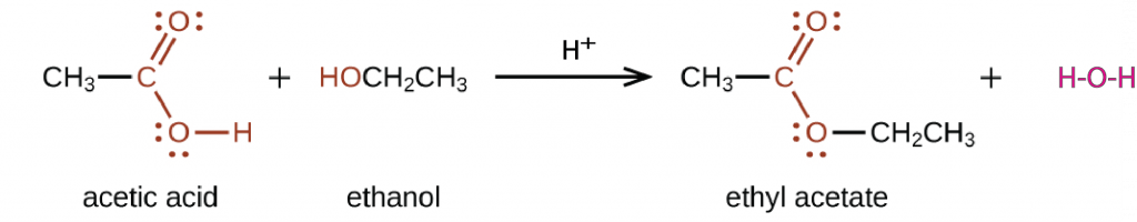 Day 13: Alcohols, Carboxylic Acids, Amines, Amides; Hydrogen Bonding ...