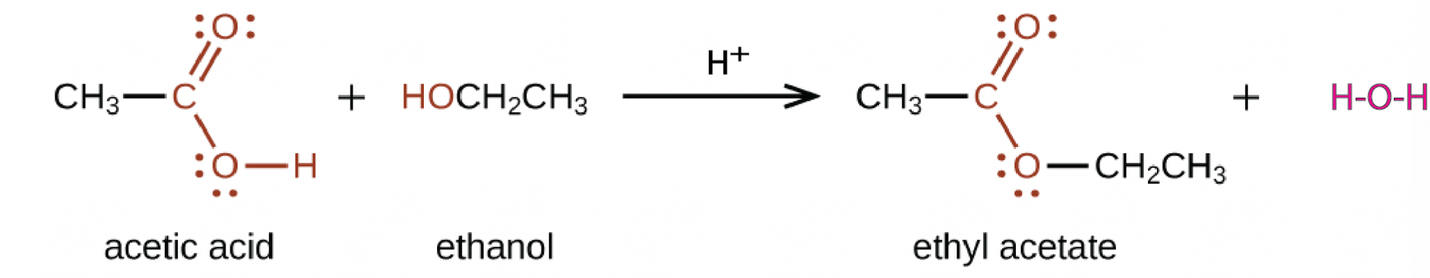 Этилацетат и вода. Ethyl Acetate. Этилацетат и водород. Этилацетат и натрий реакция.