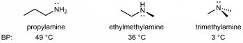 Day 13: Alcohols, Carboxylic Acids, Amines, Amides; Hydrogen Bonding ...