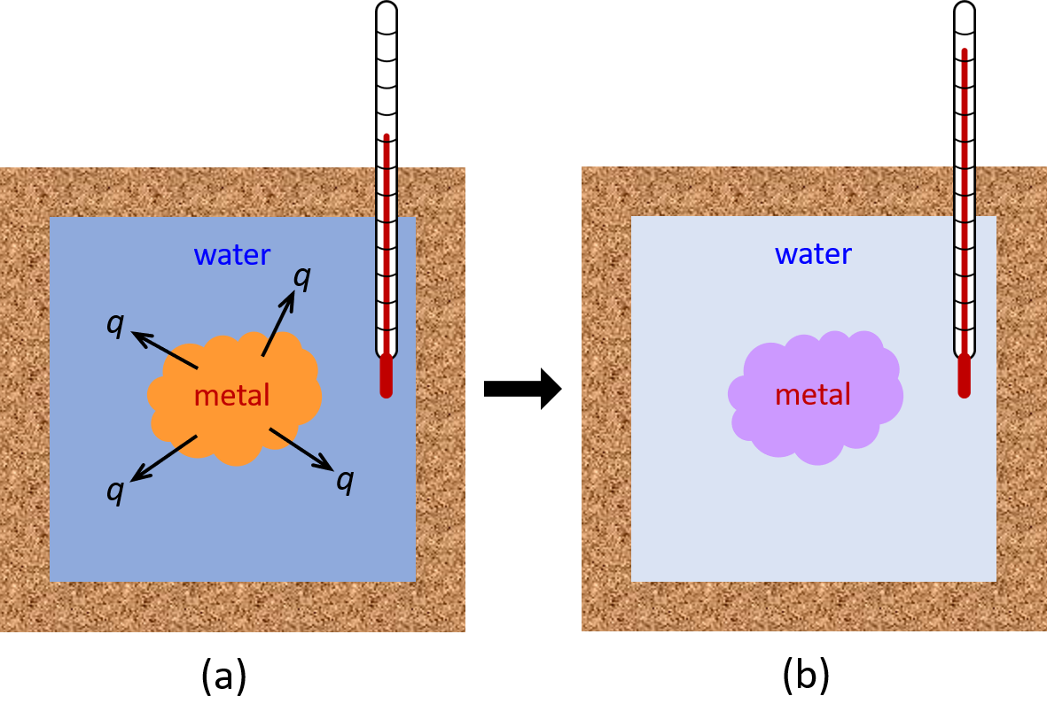 Two diagrams are shown and labeled a and b. Each diagram is composed of a rectangular container with a thermometer inserted inside from the top right corner. Both containers are connected by a right-facing arrow. Both containers are full of water, and each container has a square in the middle which represents a metal. In diagram a, the metal is drawn in brown and has three arrows facing away from it. Each arrow has the letter “q” at its end. The thermometer in this diagram has a relatively low reading. In diagram b, the metal is depicted in purple and the thermometer has a relatively high reading.