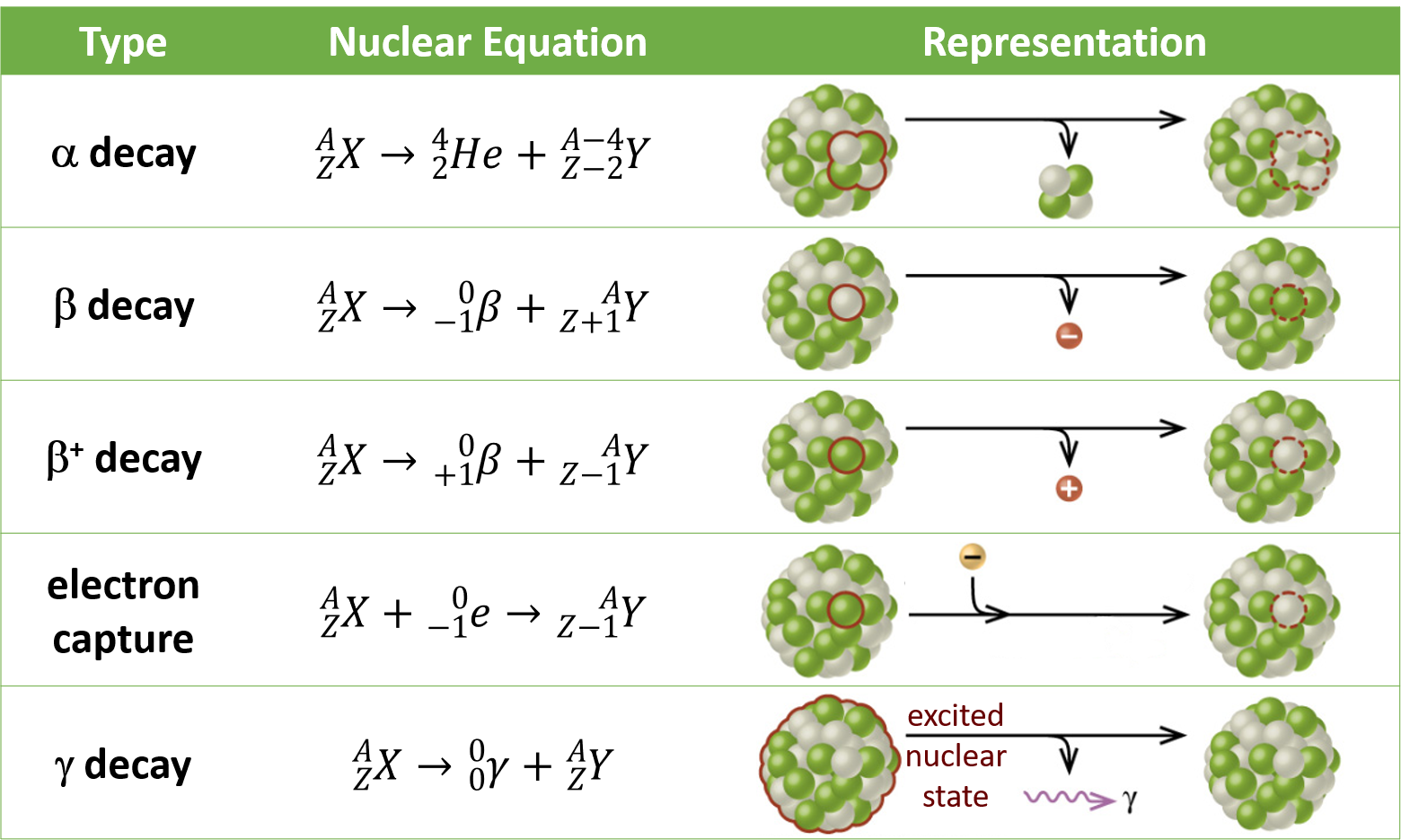 This table has four columns and six rows. The first row is a header row and it labels each column: “Type,” “Nuclear equation,” and “Representation.” Under the “Type” column are the following: “Alpha decay,” “Beta decay,” “Positron emission,” “Electron capture,” and “Gamma decay.” Under the “Nuclear equation” column are several equations. Each begins with superscript A stacked over subscript Z X. There is arrow and then the following equations: “superscript 4 stacked over subscript 2 He plus superscript A minus 4 stacked over subscript Z minus 2 Y,” “superscript 0 stacked over subscript negative 1 e plus superscript A stacked over subscript Z plus 1 Y,” “superscript 0 stacked over subscript 0 lowercase gamma plus superscript A stacked over subscript Z Y,” “superscript 0 stacked over subscript positive 1 e plus superscript A stacked over subscript Y minus 1 Y,” and “superscript 0 stacked over subscript negative 1 e plus superscript A stacked over subscript Y minus 1 Y.” Under the “Representation” column are the five diagrams. The first shows a cluster of green and white spheres. A section of the cluster containing two white and two green spheres is outlined. There is a right-facing arrow pointing to a similar cluster as previously described, but the outlined section is missing. From the arrow another arrow branches off and points downward. The small cluster to two white spheres and two green spheres appear at the end of the arrow. The next diagram shows the same cluster of white and green spheres. One white sphere is outlined. There is a right-facing arrow to a similar cluster, but the white sphere is missing. Another arrow branches off the main arrow and a red sphere with a negative sign appears at the end. The next diagram shows the same cluster of white and green spheres. One green sphere is outlined. There is a right-facing arrow to a similar cluster, but the green sphere is missing. Another arrow branches off the main arrow and a red sphere with a positive sign appears at the end. The next diagram shows the same cluster of white and green spheres. One green sphere is outlined. There is a right-facing arrow to a similar cluster, but the green sphere is missing. An arrow branch off the main arrow and shows a gold sphere with a negative sign joining with the right-facing arrow. The next diagram shows the same cluster of white and green spheres. The whole sphere is outlined and labeled, “excited nuclear state.” There is a right-facing arrow that points to the same cluster. No spheres are missing. Off the main arrow is another arrow which points to a purple squiggle arrow which in turn points to a lowercase gamma.