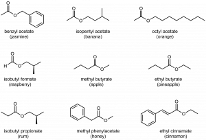 There are nine structures represented in this figure. The first is labeled “benzyl acetate (jasmine)”. It has a methyl group bonded to ester C and a benzyl group bonded to ester O. The second is labeled “isopentyl acetate (banana)”. It has a methyl group bonded to ester C and an isopentyl (3-methylbutyl) group bonded to ester O. The third is labeled “octyl acetate (orange)”. It has a methyl group bonded to ester C and a octyl group bonded to ester O. The fourth is labeled “isobutyl formate (raspberry)”. It has an H atom bonded to ester C and an isobutyl group bonded to ester O. The fifth is labeled “methyl butyrate (apple)”. It has a propyl group bonded to ester C and a methyl group bonded to ester O. The sixth is labeled “ethyl butyrate (pineapple)”. It has a propyl group bonded to ester C and a ethyl group bonded to ester O. The seventh is labeled “isobutyl propionate (rum)”. It has an ethyl group bonded to ester C and a isobutyl group bonded to ester O. The eighth is labeled “methyl phenylacetate (honey)”. It has a benzyl group bonded to ester C and a methyl group bonded to ester O. The ninth is labeled “ethyl cinnamate (cinnamon)”. It has a styrene group bonded to ester C and an ethyl group bonded to ester O.