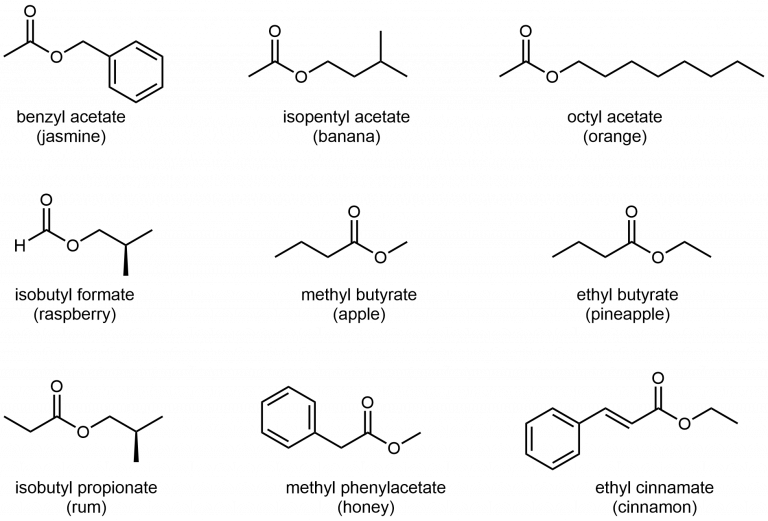 Day 12: Intermolecular Forces; Functional Groups – Chemistry 109, Fall 2020