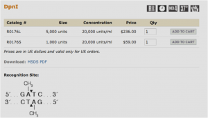 Image from a catalog for purchasing DpnI enzyme. Recognition site: 5' G A-methyl T C 3'