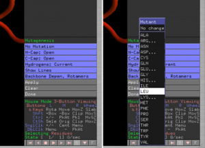 Screenshots of how to create a mutation in the PyMOL mutagenesis wizard