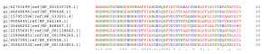 Nine sequences aligned computationally. Amino acids are color coded by biochemical property.