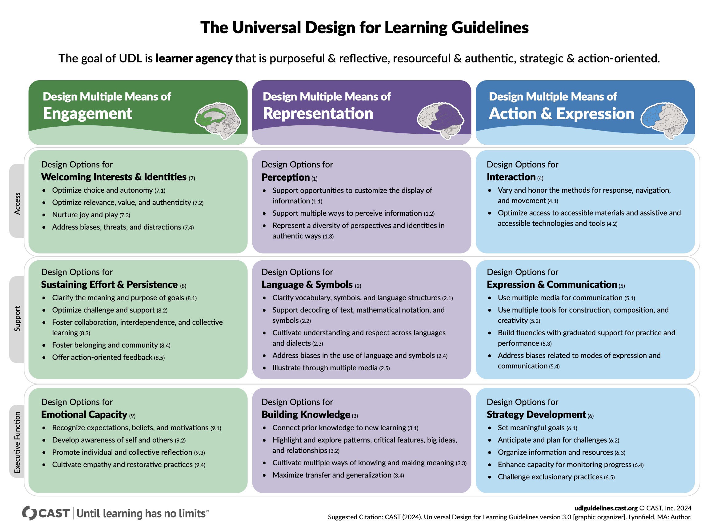 The Universal Design for Learning Guidelines includes three columns with suggestions in each for making learning more accessible.