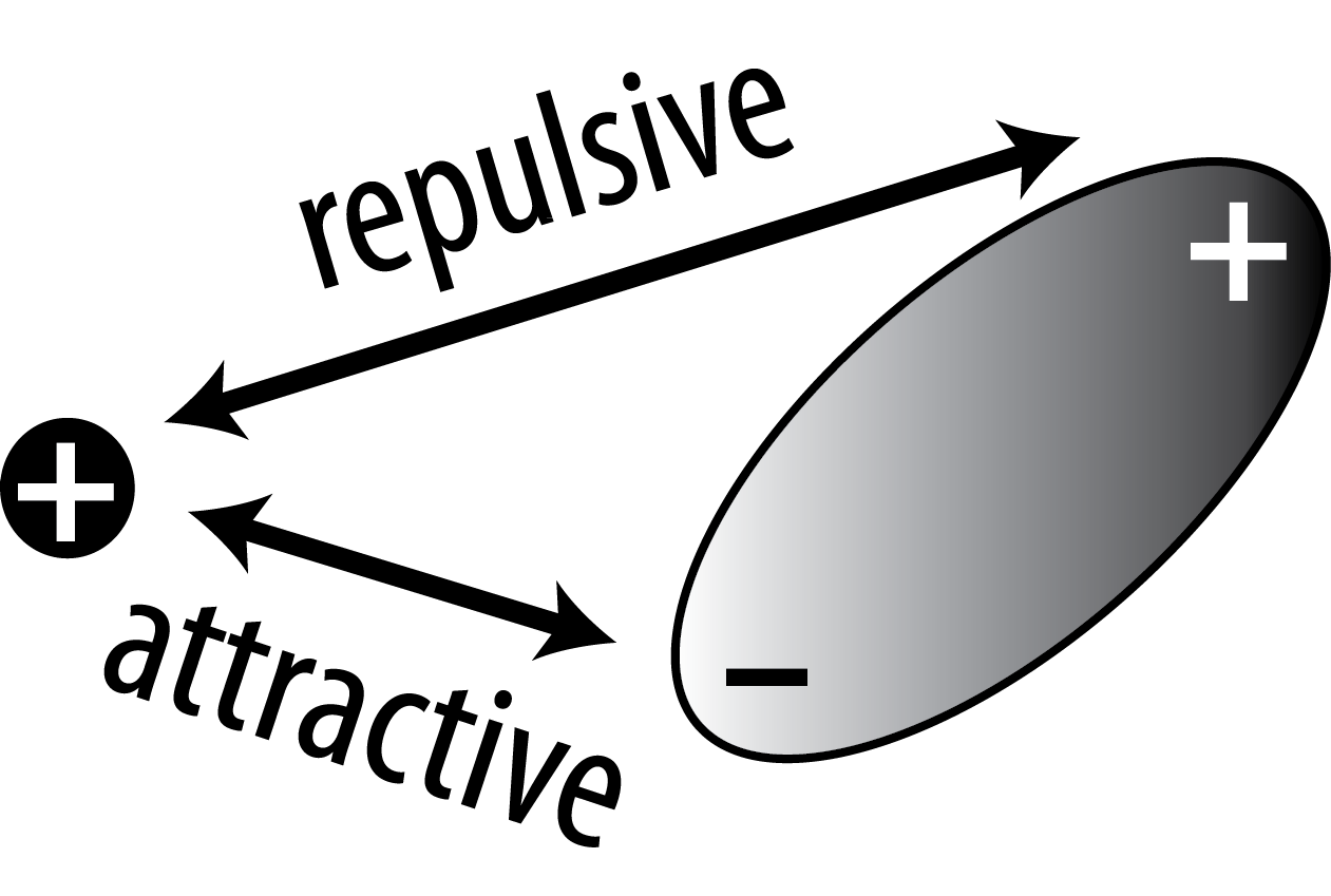 The image shows a cation, represented as a circle with a plus sign and a polar molecule, represented as an oval with a plug sign on one end and a negative sign on the other. There is an arrow between the cation and the positive end of the dipole that is labeled "repulsive". There is another arrow that points to the cation and the negative end of the dipole labeled "attractive".