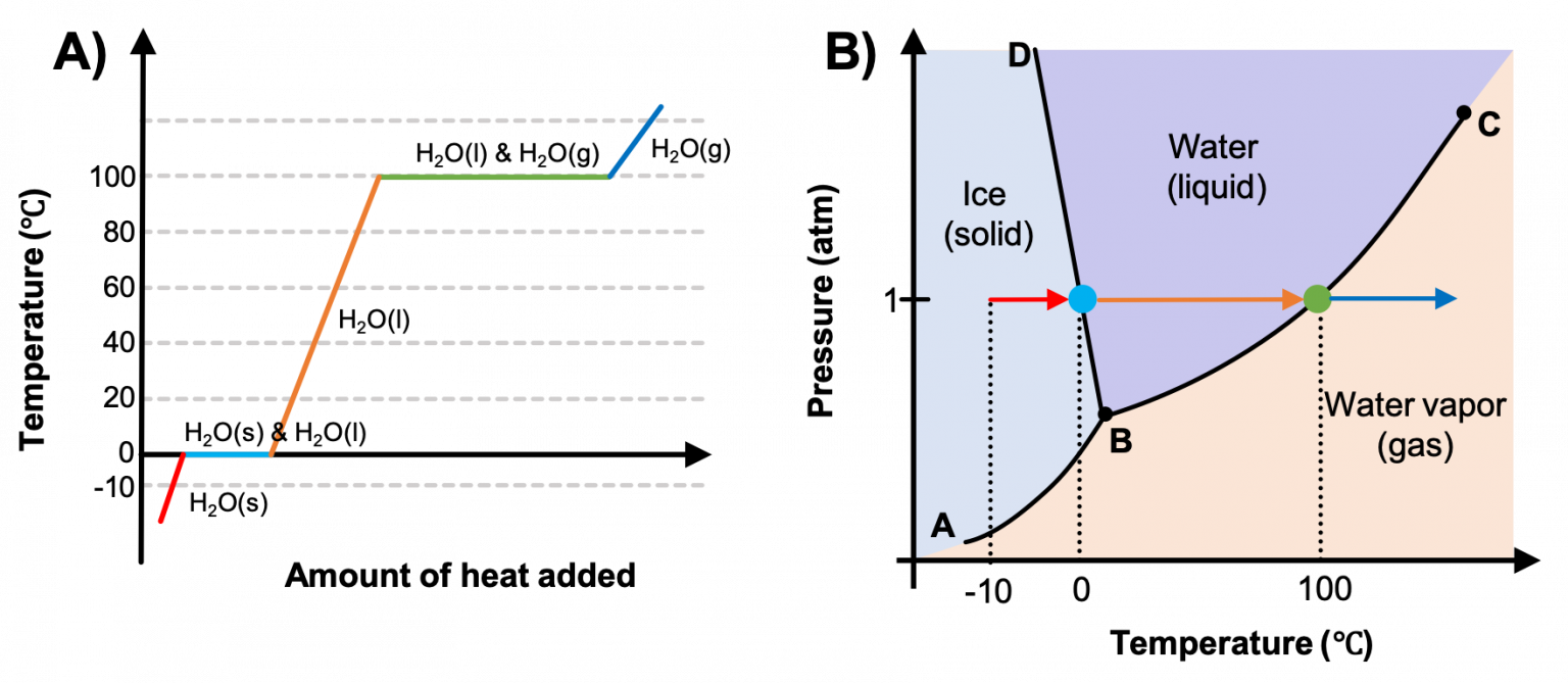 M11Q2 Heating Curves and Phase Diagrams Chem 103/104 Resource Book