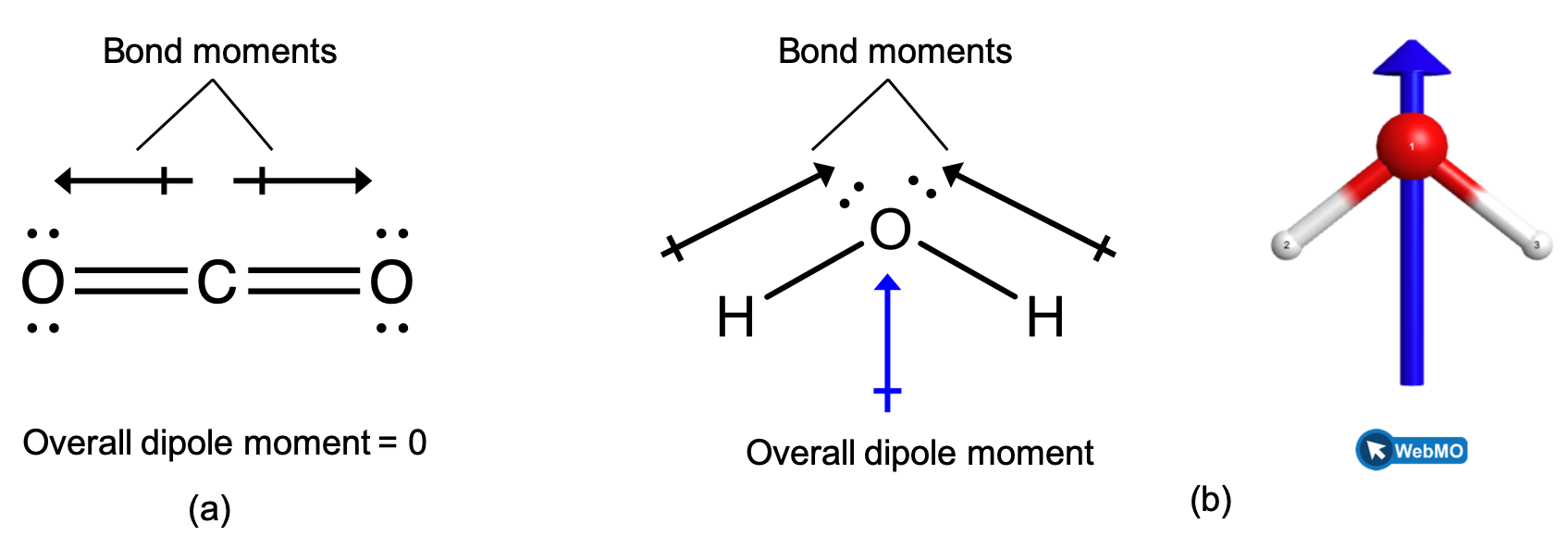 Two images are shown and labeled, “a” and “b.” Image a shows a carbon atom bonded to two oxygen atoms in a ball-and-stick representation. Two arrows face away from the center of the molecule in opposite directions and are drawn horizontally like the molecule. These arrows are labeled, “Bond moments,” and the image is labeled, “Overall dipole moment equals 0.” Image b shows an oxygen atom bonded to two hydrogen atoms in a downward-facing v-shaped arrangement. An upward-facing, vertical arrow is drawn below the molecule while two upward and inward facing arrows are drawn above the molecule. The upper arrows are labeled, “Bond moments,” while the image is labeled, “Overall dipole moment.”