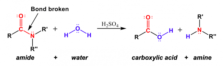 M12Q6: Condensation and Hydrolysis Reactions – Chem 103/104 Resource Book