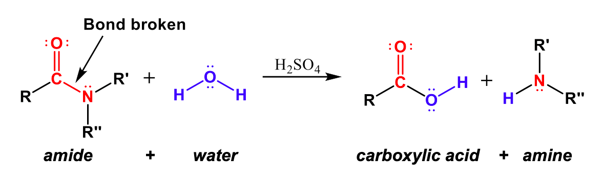 draw a condensation reaction