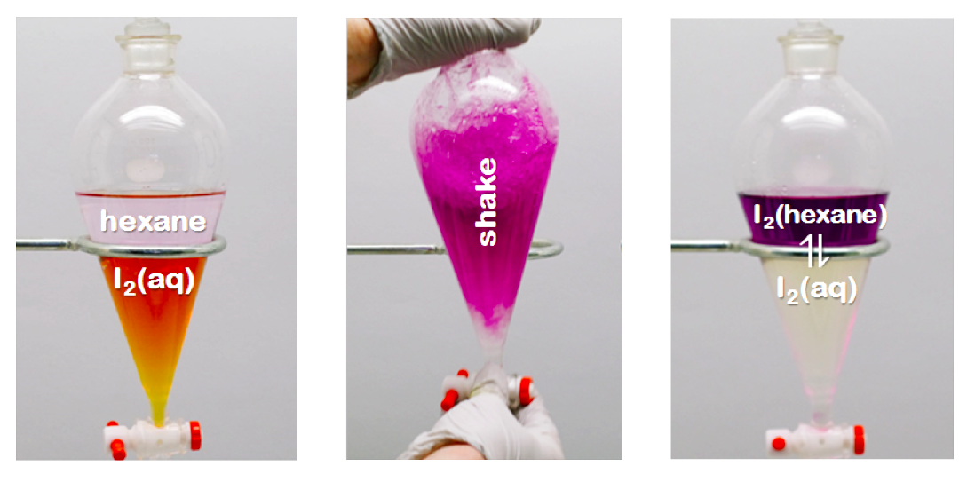 This figure has 3 images, each with a separatory funnel. In the left figure, there are two liquids. The bottom is an orange liquid, labeled I 2 (aq). The top liquid is colorless and labeled hexane. The middle figure shows the funnel being shaken and it appears to be a pink liquid. The right figure again has two separate liquids. The bottom is colorless and labeled I 2 (aq). The top is purple and labeled I 2 (hexane). There are equilibrium arrows between these two layers.