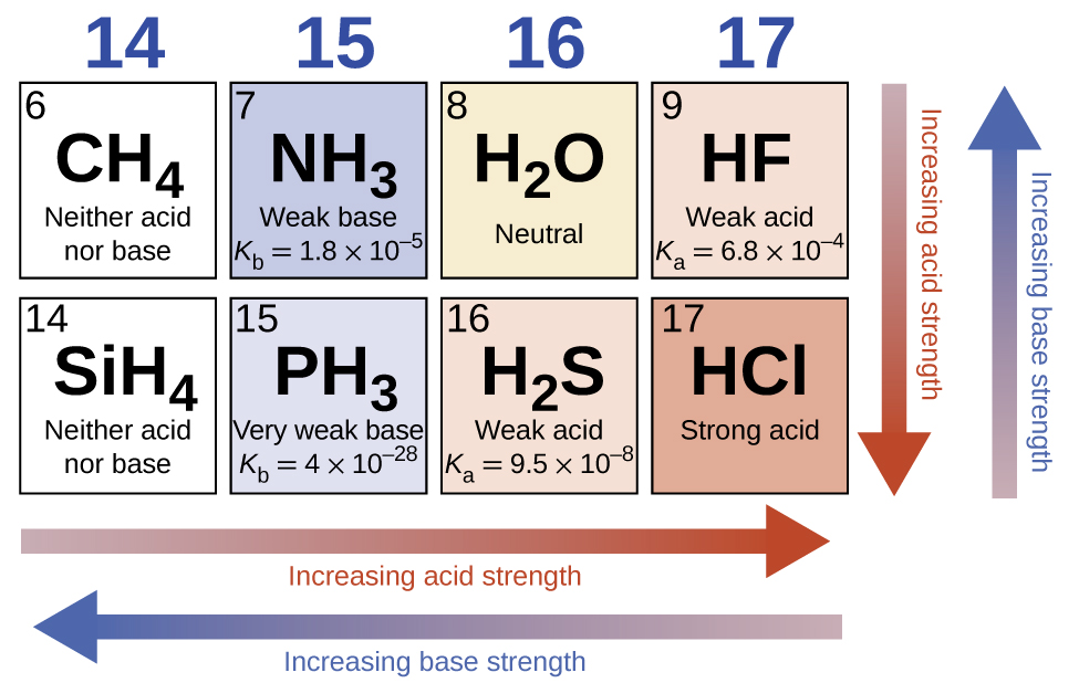 This diagram has two rows and four columns. Red arrows point left across the bottom of the figure and down at the right side and are labeled “Increasing acid strength.” Blue arrows point left across the bottom and up at the right side of the figure and are labeled “Increasing base strength.” The first column is labeled 14 at the top and two white squares are beneath it. The first has the number 6 in the upper left corner and the formula C H subscript 4 in the center along with designation Neither acid nor base. The second square contains the number 14 in the upper left corner, the formula C H subscript 4 at the center and the designation Neither acid nor base. The second column is labeled 15 at the top and two blue squares are beneath it. The first has the number 7 in the upper left corner and the formula N H subscript 3 in the center along with the designation Weak base and K subscript b equals 1.8 times 10 superscript negative 5. The second square contains the number 15 in the upper left corner, the formula P H subscript 3 at the center and the designation Very weak base and K subscript b equals 4 times 10 superscript negative 28. The third column is labeled 16 at the top and two squares are beneath it. The first is shaded tan and has the number 8 in the upper left corner and the formula H subscript 2 O in the center along with the designation neutral. The second square is shaded pink, contains the number 16 in the upper left corner, the formula H subscript 2 S at the center and the designation Weak acid and K subscript a equals 9.5 times 10 superscript negative 8. The fourth column is labeled 17 at the top and two squares are beneath it. The first is shaded pink, has the number 9 in the upper left corner and the formula H F in the center along with the designation Weak acid and K subscript a equals 6.8 times 10 superscript negative 4. The second square is shaded a deeper pink, contains the number 17 in the upper left corner, the formula H C l at the center, and the designation Strong acid.