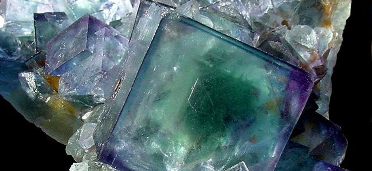 An image is shown of a cluster of clear crystals, showing primarily cubic and some octahedral shapes. A large cubic crystal at the center of the photograph has a deep emerald green center with deep purple corners and a small royal blue region just right of center. A smaller cubic crystal to its left shows purple corners and edges with royal blue coloration toward the center. Similar coloration is seen in other crystals in the structure, though most of the smaller crystals are clear and colorless.