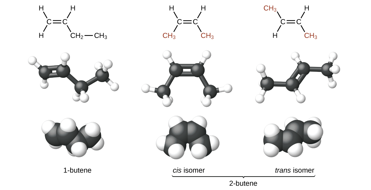 c4h8 lewis structure isomers