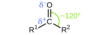 This structure shows a central C atom to which an O atom is double bonded above. To the lower left, R superscript 1 is bonded and to the lower right, R superscript 2 is bonded. A Greek lowercase delta superscript plus appears to the left of the C and just above the bond with R superscript 1. Similarly, a Greek lowercase delta superscript negative sign appears to the left of the O atom. An arc is drawn from the double bond that links the C atom and the O atom to the bond that links the C atom to the R superscript 2 group. This arc is labeled approximately 120 degrees.