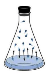 There is a flask with a black rubber stopper at the top. In the bottom of the flask is a blue, transparent liquid. In the empty space above the liquid, there are 12 blue spheres flying around. There are 6 arrows, 3 showing that detached blue spheres will recombine with the liquid, and 3 showing that a blue sphere will detach from the liquid and float in the empty space.