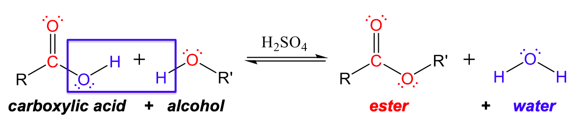 condensation reaction between alcohol and carboxylic acid