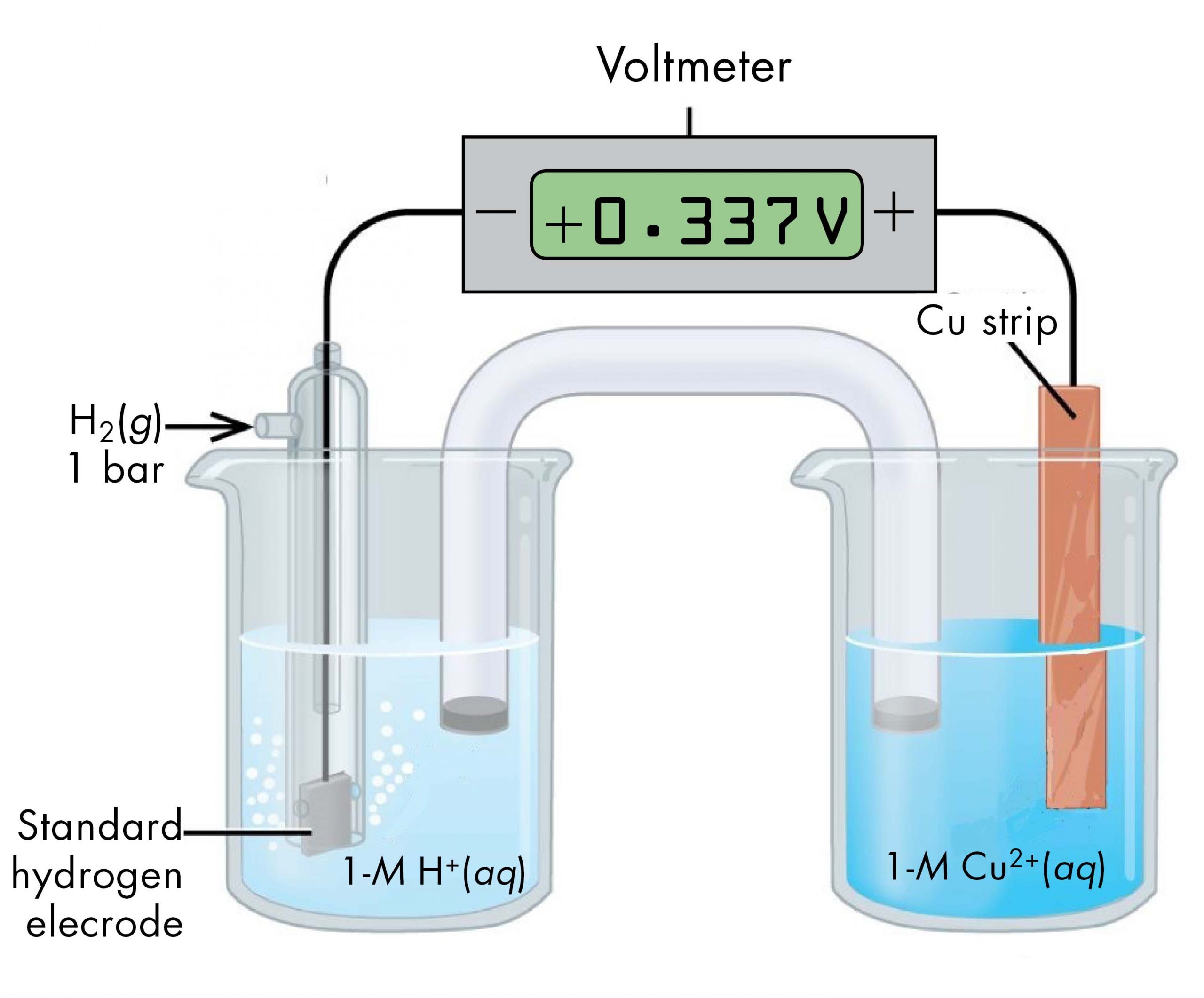 This figure contains a diagram of an electrochemical cell. Two beakers are shown. Each is just over half full. The beaker on the left contains a clear, colorless solution and is labeled below as “1 M H superscript plus.” The beaker on the right contains a blue solution and is labeled below as “1 M C u superscript 2 plus.” A glass tube in the shape of an inverted U, a salt bridge, connects the two beakers at the center of the diagram. The tube contents are colorless. The ends of the tube are beneath the surface of the solutions in the beakers and a small grey plug is present at each end of the tube. The beaker on the left has a glass tube partially submersed in the liquid. Bubbles are rising from a grey square, labeled “Standard hydrogen electrode”, at the bottom of the tube. A black wire extends from the grey square up the interior of the tube through a small port at the top to a rectangle with a digital readout of “positive 0.337 V” which is labeled “Voltmeter.” The wire connects to the negative terminal of the voltmeter. A second small port extends out the top of the tube to the left. An arrow points from the left to the port opening. The base of this arrow is labeled “H subscript 2 ( g ) 1 bar.” The beaker on the right has an orange-brown strip that is labeled “C u strip” at the top. A wire extends from the top of this strip to the voltmeter, connecting to the positive terminal. The solution in the right beaker is labeled “1-M H superscript plus.”