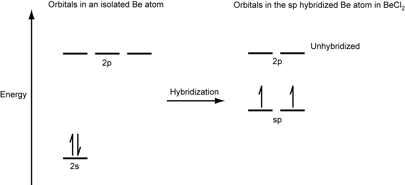 A diagram is shown in two parts, connected by a right facing arrow labeled, “Hybridization.” The left diagram shows an up-facing arrow labeled, “E.” To the lower right of the arrow is a short, horizontal line labeled, “2 s,” that has two vertical half-arrows facing up and down on it. To the upper right of the arrow are a series of three short, horizontal lines labeled, “2 p.” Above these two sets of lines is the phrase, “Orbitals in an isolated B e atom.” The right side of the diagram shows two short, horizontal lines placed halfway up the space and each labeled, “s p.” An upward-facing half arrow is drawn vertically on each line. Above these lines are two other short, horizontal lines, each labeled, “2 p.” Above these two sets of lines is the phrase, “Orbitals in the s p hybridized Be in BeClsubscript 2.”
