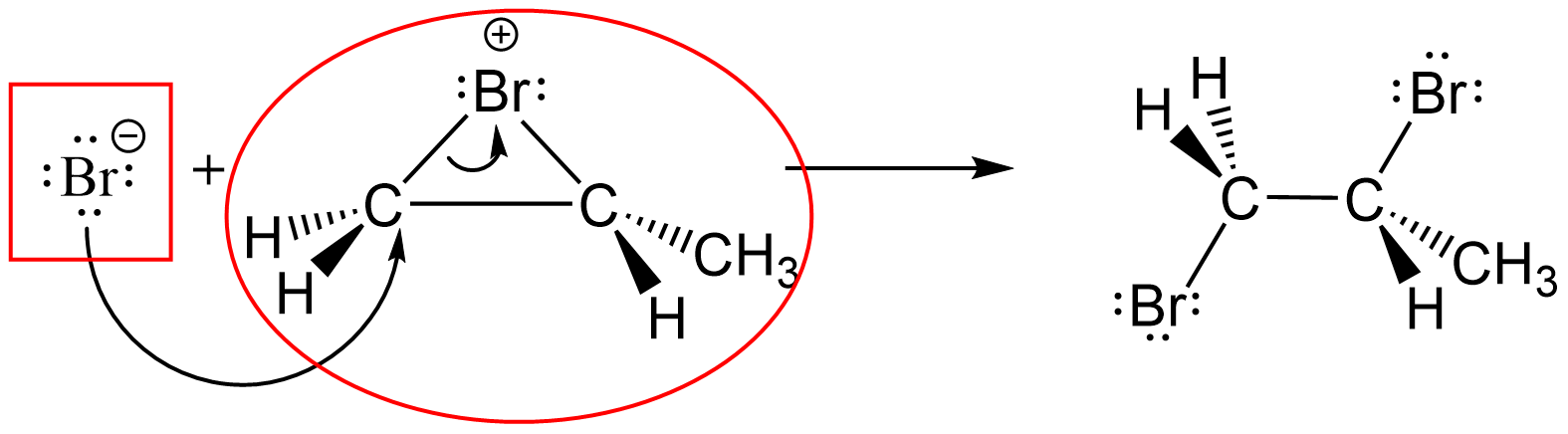 In the reaction of Br- anion with CH2(Br+)C(H)CH3 bromonium cation, forming 1,2-dibromopropane (CH2BrCHBrCH3), a rectangle is drawn around Br- anion and an oval is drawn around the bromonium cation.