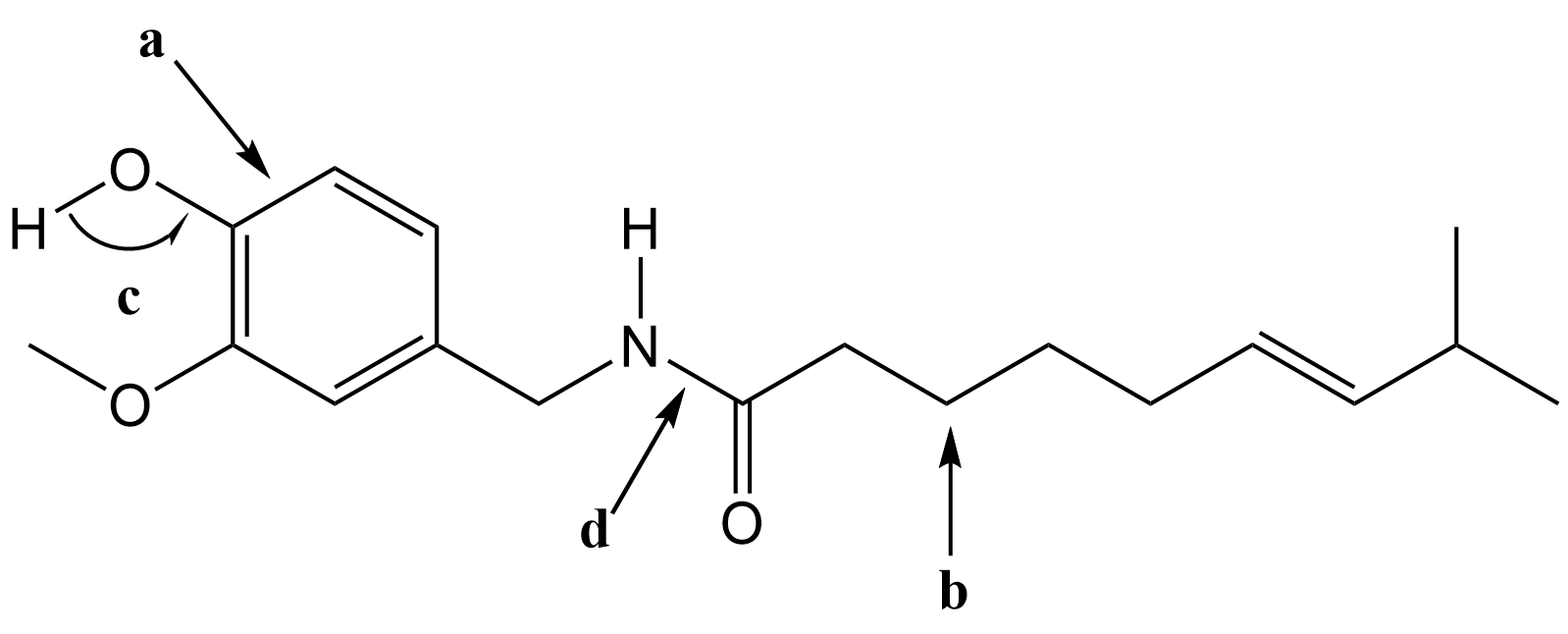 Capsaicin molecule (8-methyl-N-vanillyl-6-nonenamide).