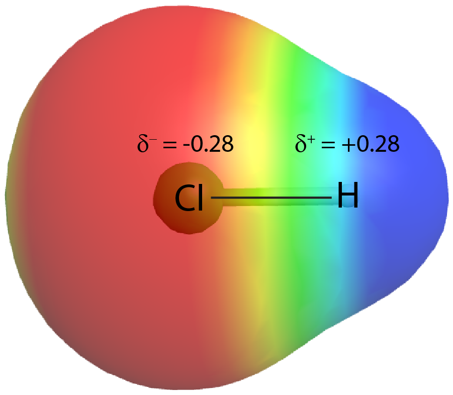 Polar Covalent Bond Hcl