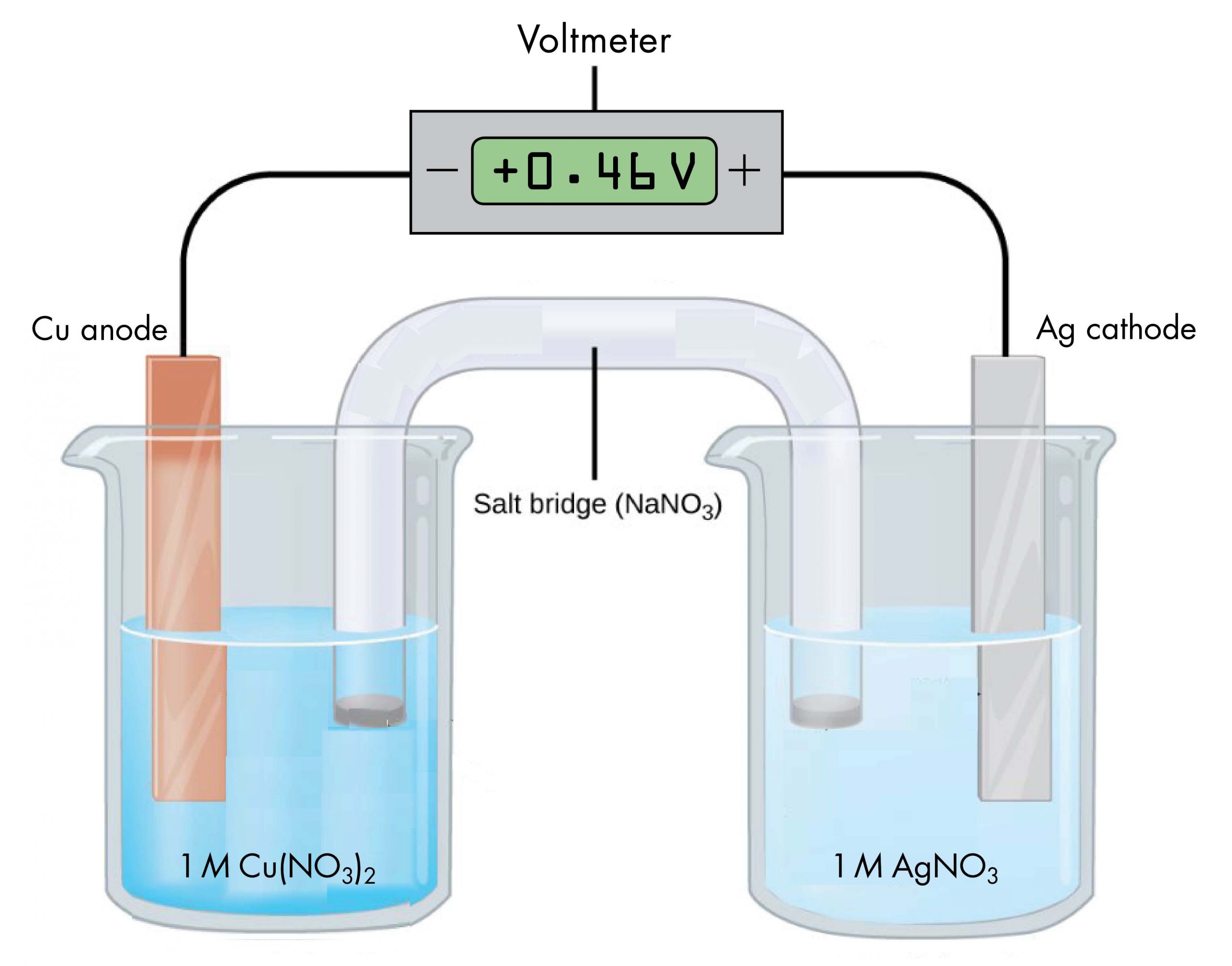 Galvanic Cell Labeled