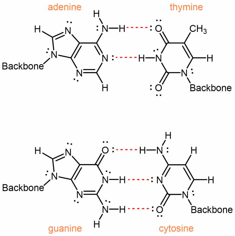 D16.4 DNA and Lipids Chemistry 109 Fall 2021