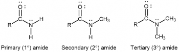 D14.5 Amides – Chemistry 109 Fall 2021