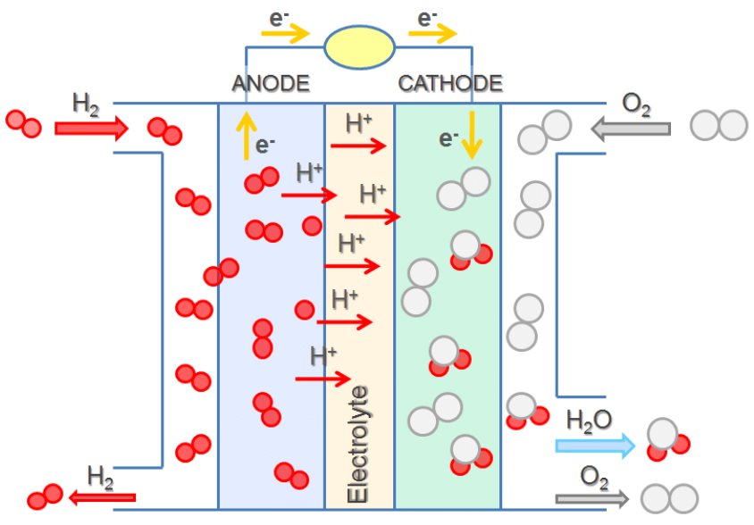 A diagram is shown of a hydrogen fuel cell. At the center is a narrow vertical rectangle which is shaded tan and labeled “Electrolyte.” To the right is a slightly wider and shorter green rectangle which is labeled “Cathode.” To the left is a pale blue rectangle of the same size which is labeled “Anode.” White rectangles, each with an inlet at the top and an outlet at the bottom are at the right and left sides, attached to the green and blue rectangles. On the right side O subscript 2 enters at the top, moves inward and along the interface with the green region, and exits to the lower right. H subscript 2 O also exits at the lower right. Pale gray diatomic O subscript 2 molecules move through this region and at the bottom are converted to a single pale gray atom with two smaller bright red atoms, H 2 O molecules. A similar pathway is on the left, allowing entry of H subscript 2 from the upper left along the interface with the blue rectangle, allowing for the exit of H subscript 2 out to the lower left of the diagram. Small red diatomic H subscript 2 molecules ar shown in this region. Black line segments extend upward from the blue anode and purple cathode regions. These line segments are connected by a horizontal segment that has a yellow light-bulb shape at the center. H subscript 2 molecules travel into the anode where they lose electrons and become single, small, red circles labeled H superscript plus. H superscript plus ions are shown traveling though the electrolyte to the green cathode where they interact with O subscript 2 molecules to form water molecules. The electrolyte is a special membrane permeable to H superscript plus but not to electrons.