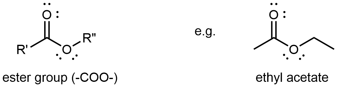 ethyl acetate lewis structure