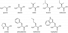 D26.2 Amino Acids – Chemistry 109 Fall 2021