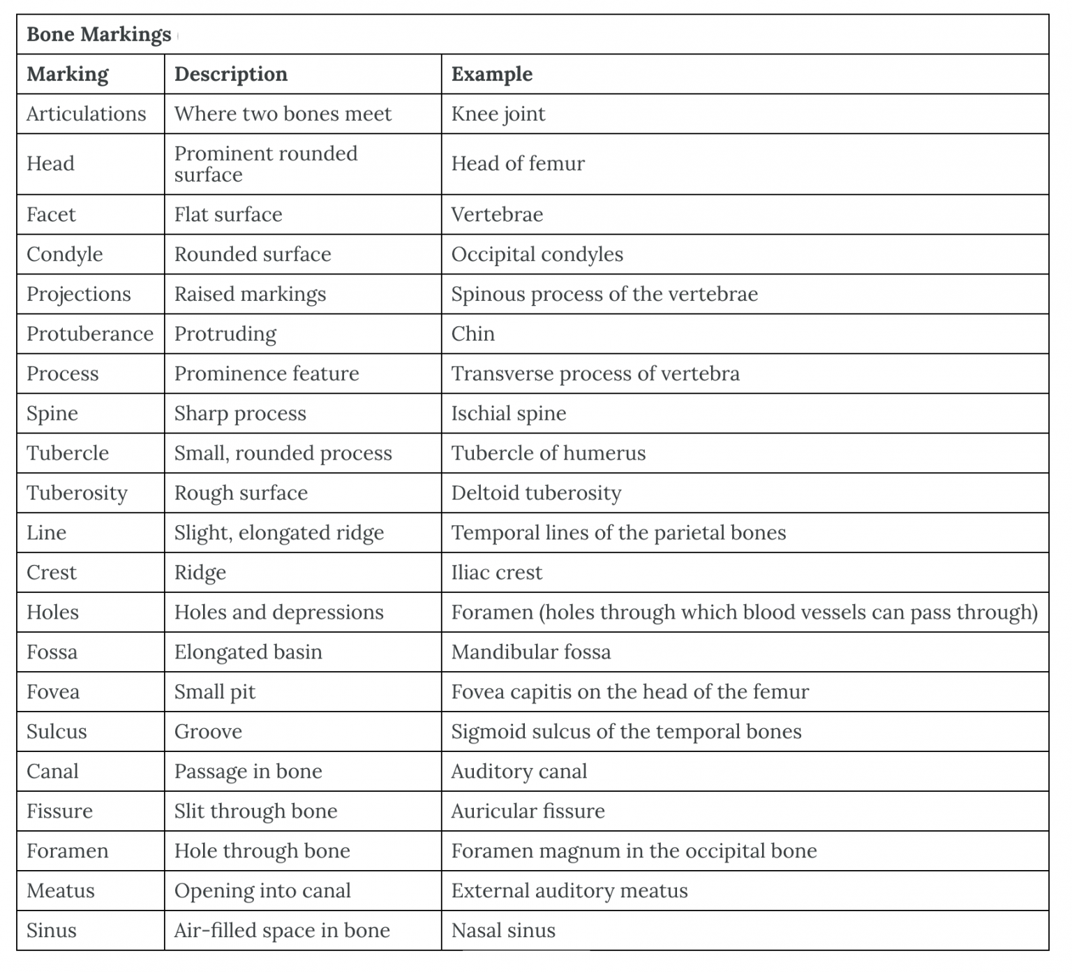 Module 6: Articulations – Anatomy 337 eReader