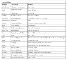 Module 6: Articulations – Anatomy 337 eReader