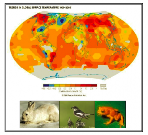 A world map colored by degrees of temperature change between -0.8C and 2.0+C as recorded between 1905 and 2005.