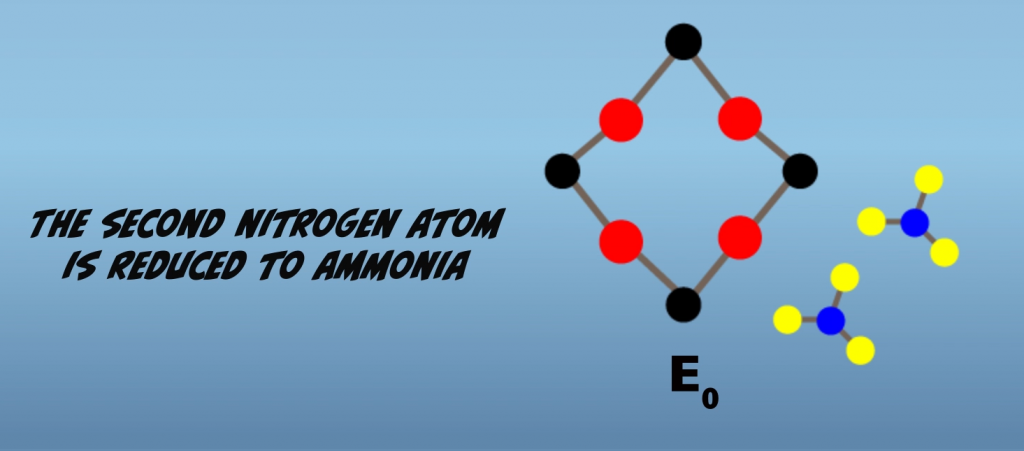 The final electron transfer releases the second Nitrogen as ammonia