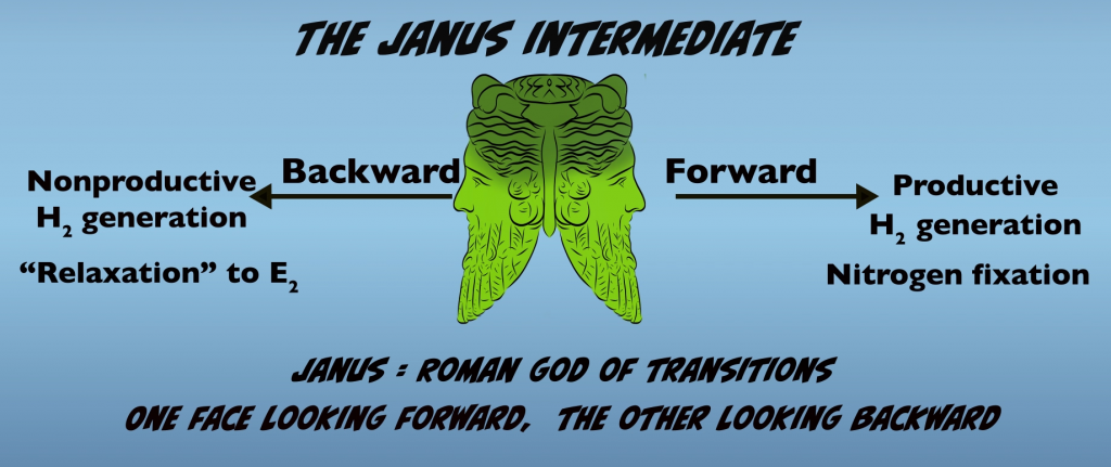 Janus Intermediate